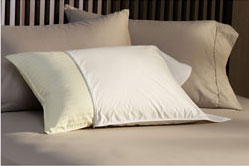 Pillow Case(s) - Satin Waterbed